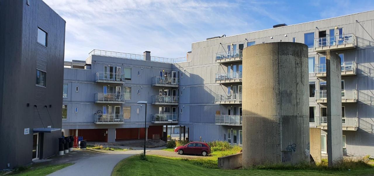 טרומסה Northern Dreams Apartment With Free Parking מראה חיצוני תמונה